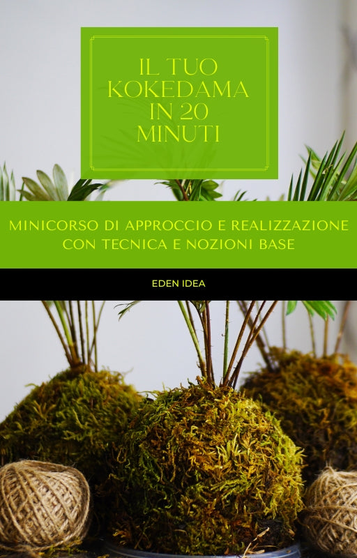 IL TUO KOKEDAMA IN 20 MINUTI