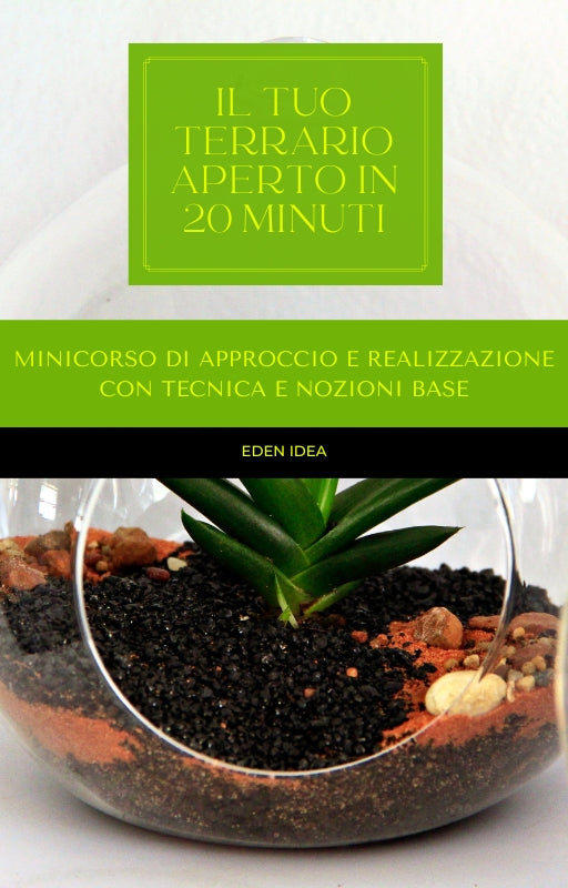 IL TUO TERRARIO APERTO IN 20 MINUTI
