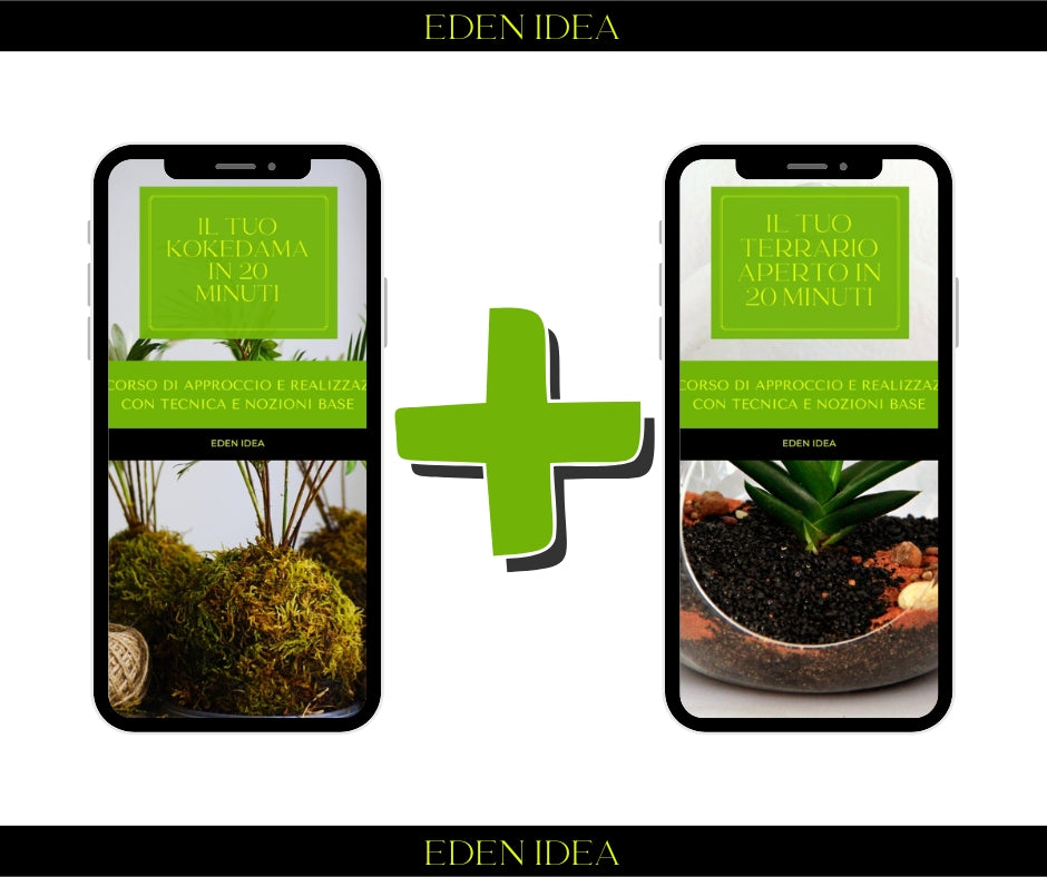 IL TUO KOKEDAMA & IL TUO TERRARIO APERTO  IN 20 MINUTI